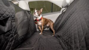 Vailge Dog Seat Cover for Back Seat Pros, Cons & reviews