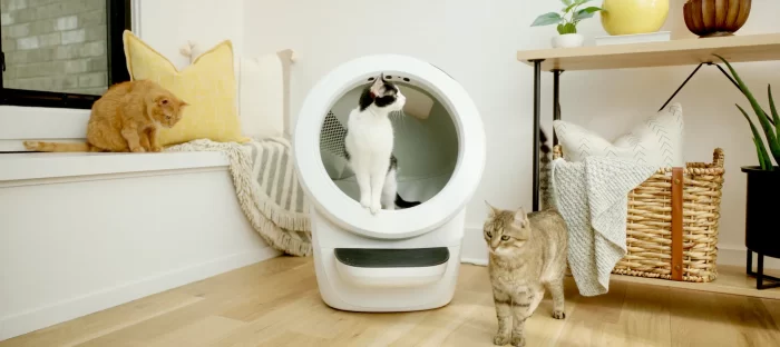 Best Litter Box Solutions for Multiple Cats